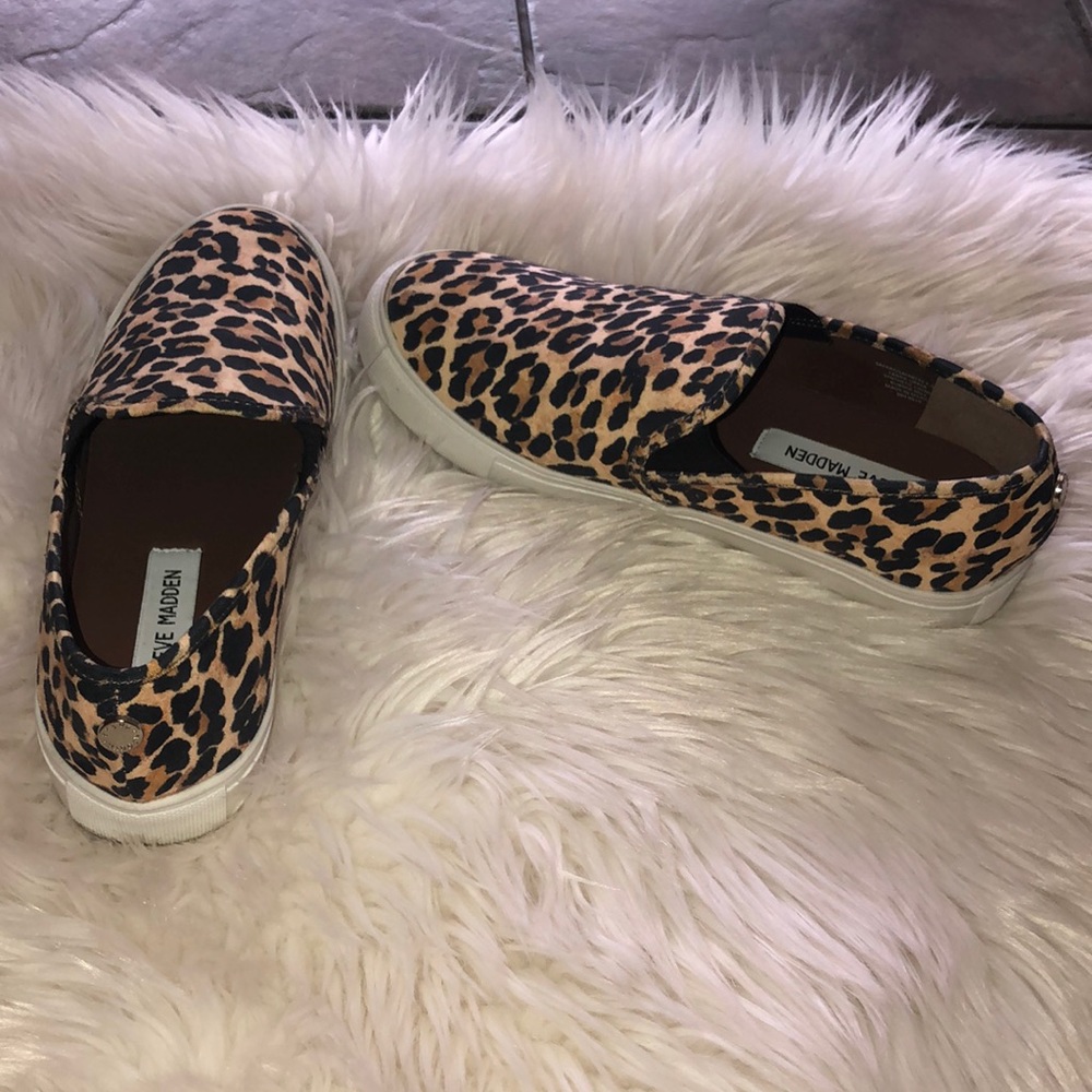Cheetah Steve Madden